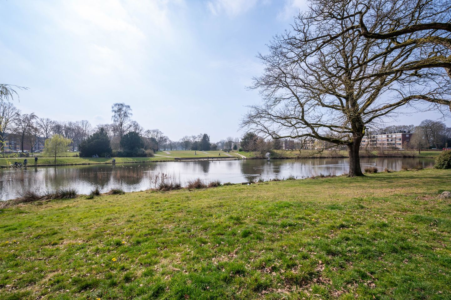 Foto 25 van Ruys de Beerenbrouckstraat 127