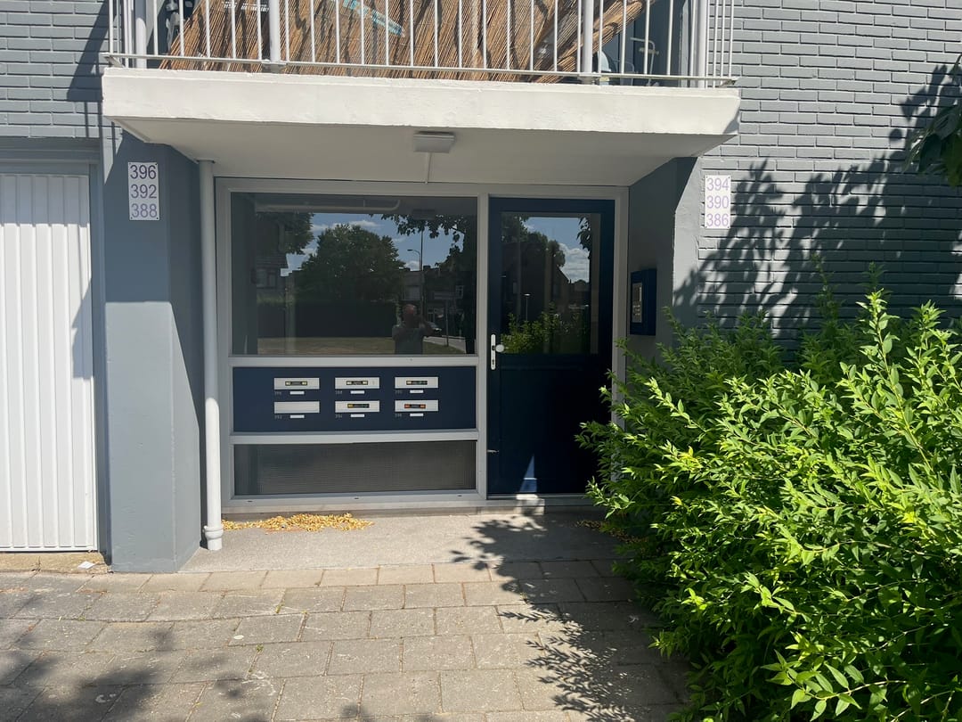 Foto 2 van Pisanostraat 396