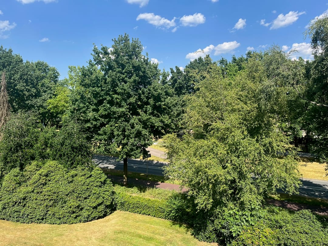 Foto 7 van Pisanostraat 396