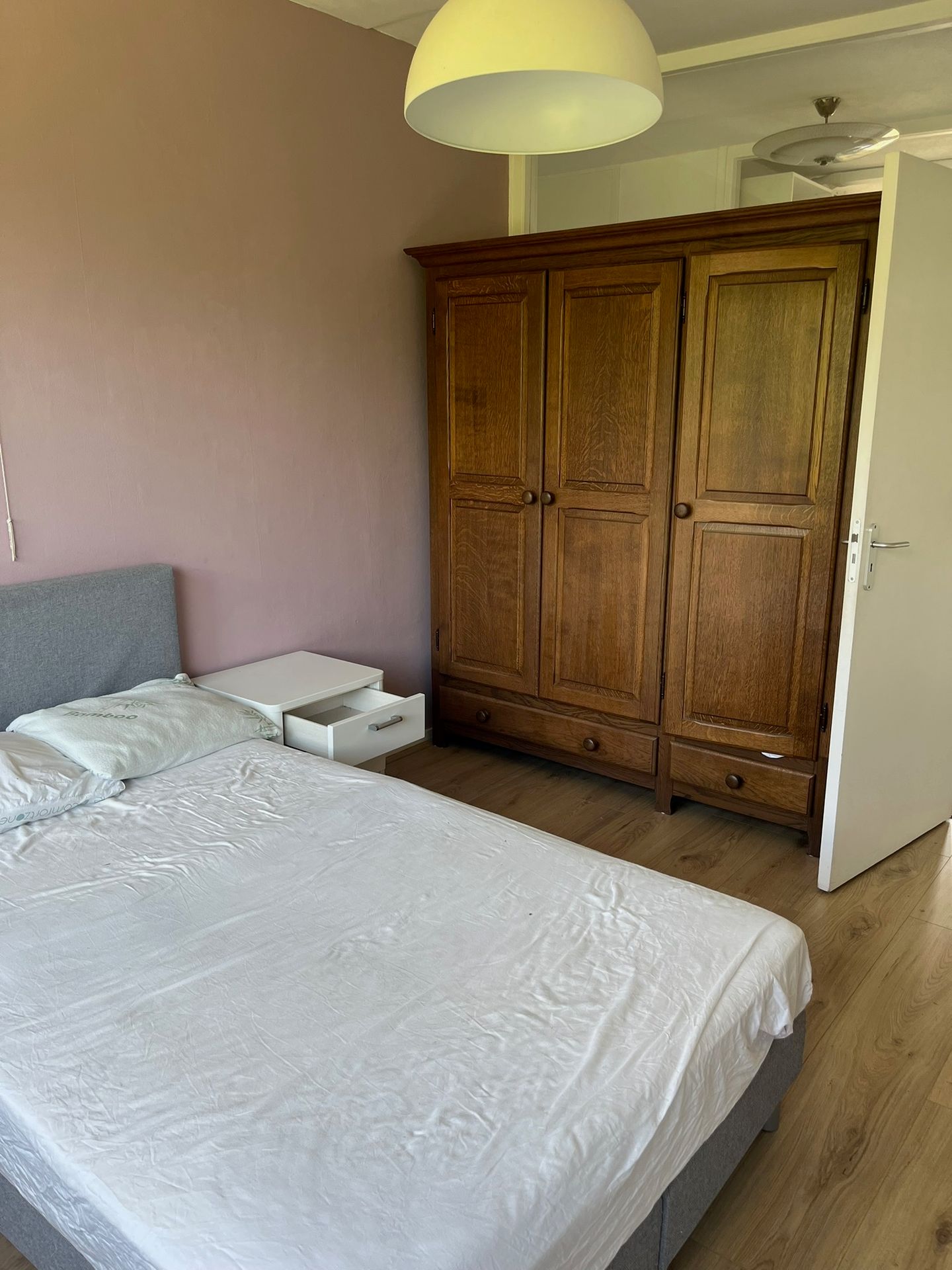 Foto 20 van Pisanostraat 396