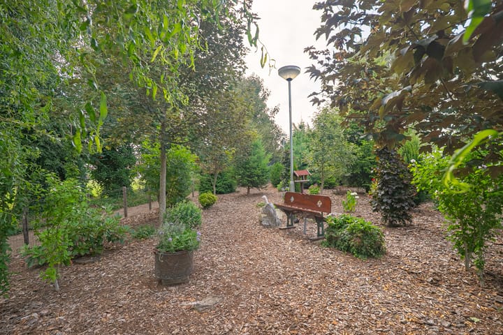 Foto 2 van Diergaarderstraat Zuid 32