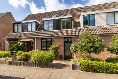 undefined main image