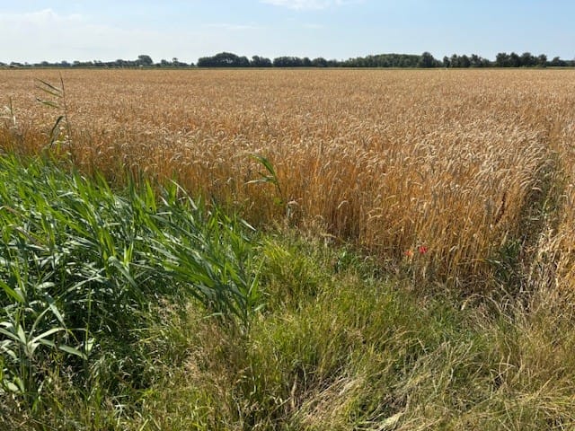 Bekijk foto 2 van Schoutsweg/Poppekerkseweg