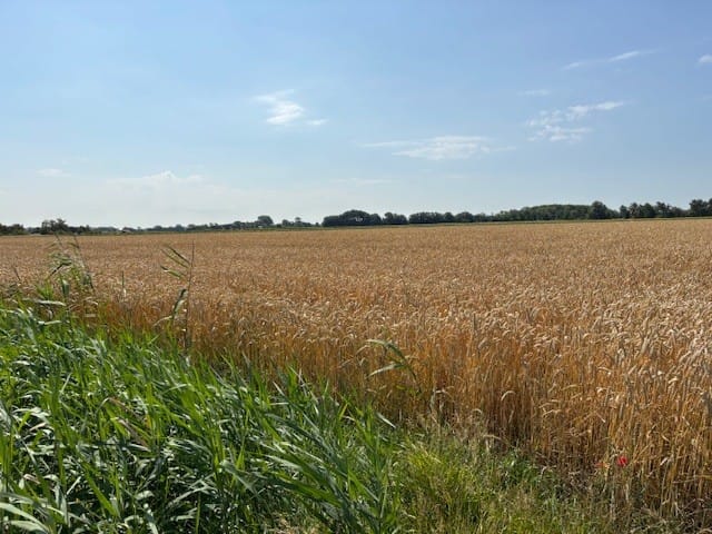 Bekijk foto 3 van Schoutsweg/Poppekerkseweg