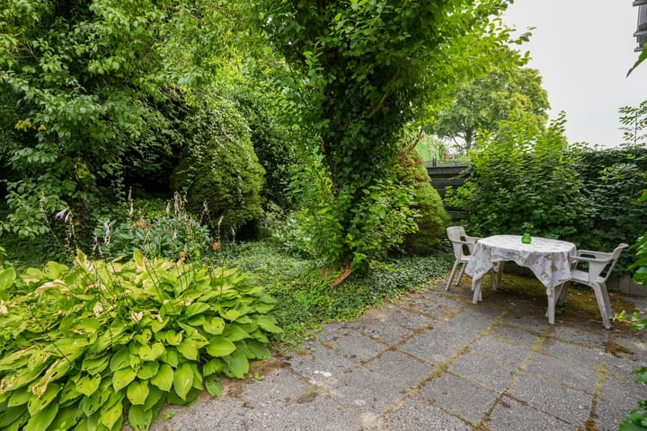 Foto 19 van Dokter Schepelstraat 12