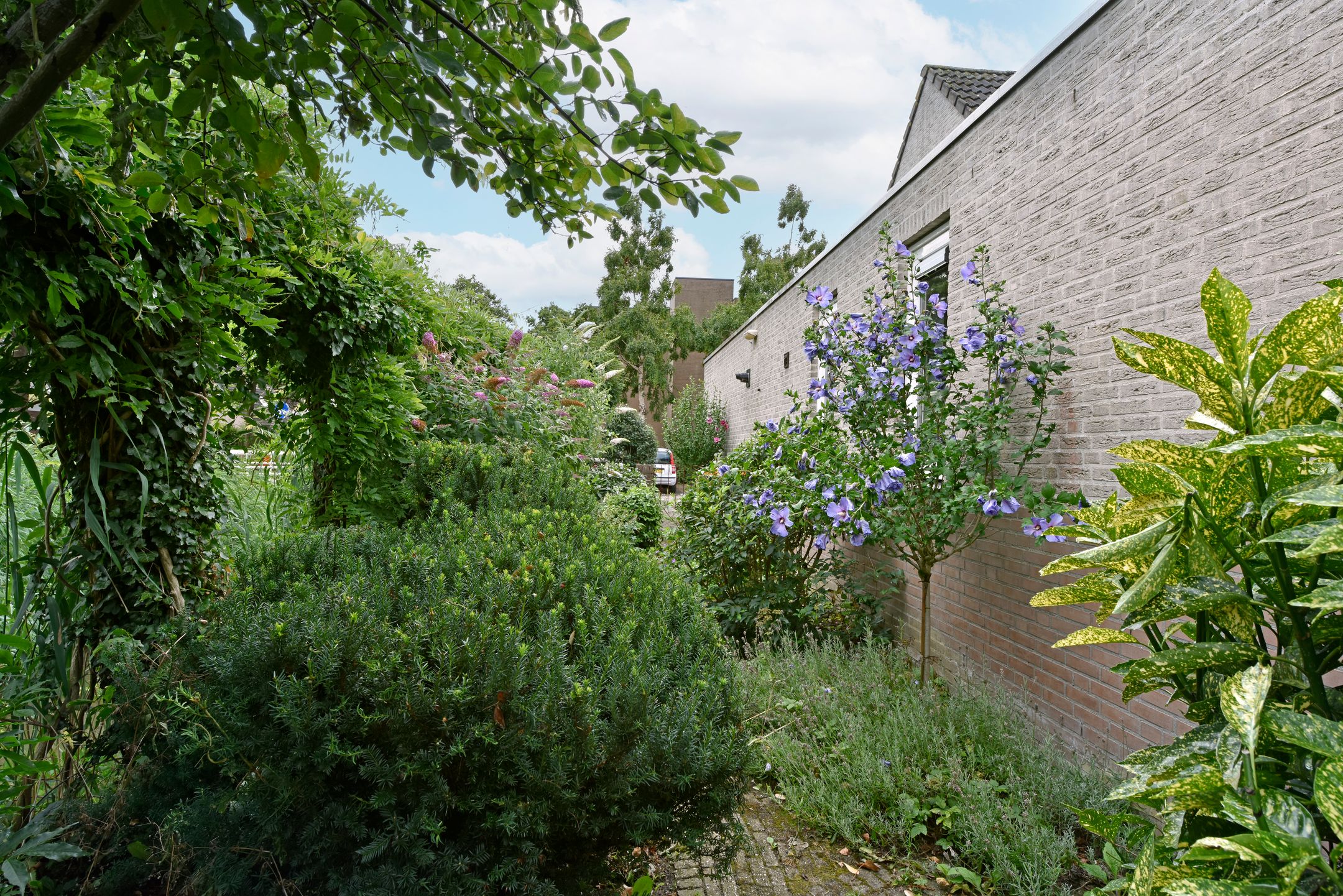 Foto 24 van Schermplaat 2