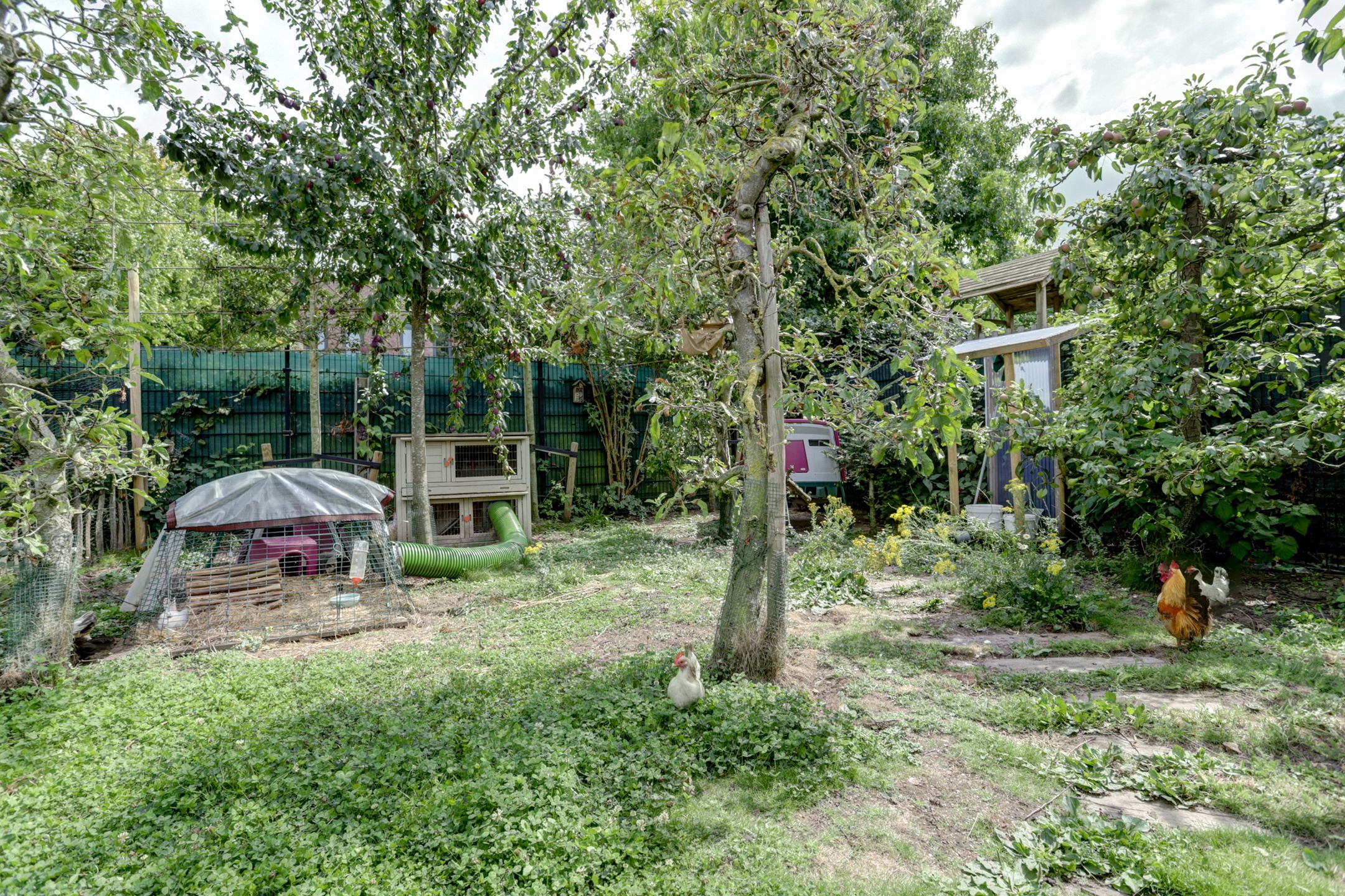 Photo 51 of Haagwinde 22