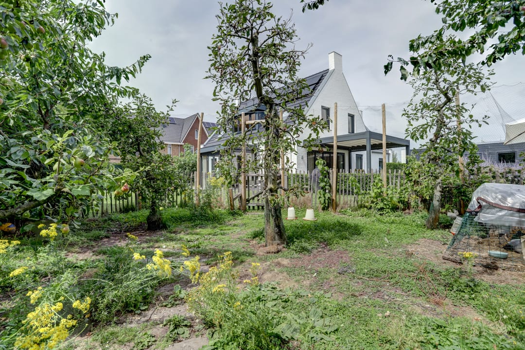 Photo 52 of Haagwinde 22