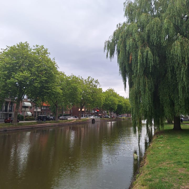 Foto 46 van Harmenkokslaan 58