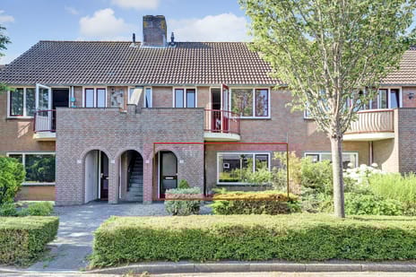 undefined main image