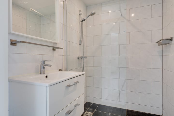 Foto 4 van Theemsdreef 396