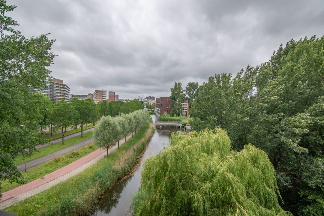 Foto 7 van Bijdorplaan 211