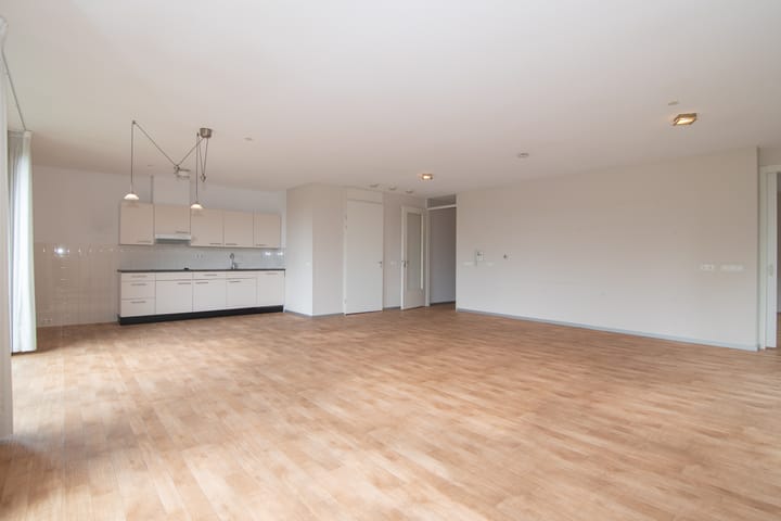 Foto 8 van Bijdorplaan 211