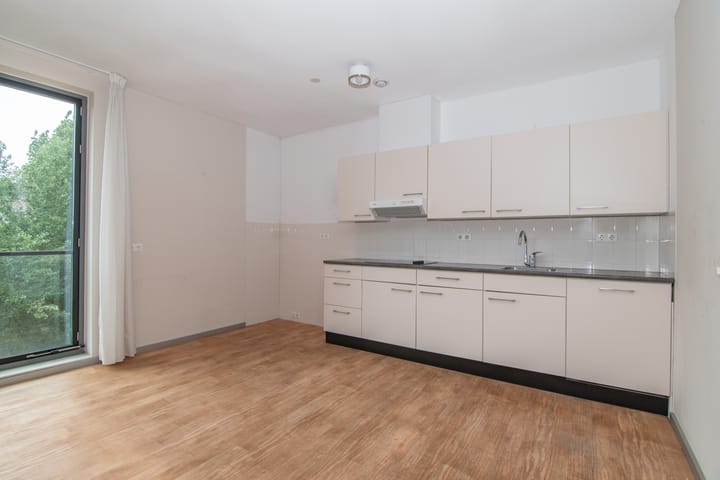 Foto 9 van Bijdorplaan 211