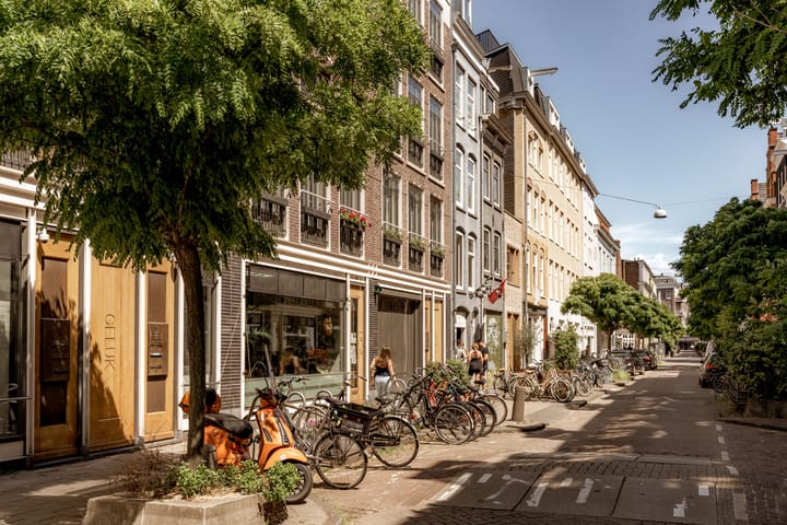 Foto 4 van Gerard Doustraat 147-E