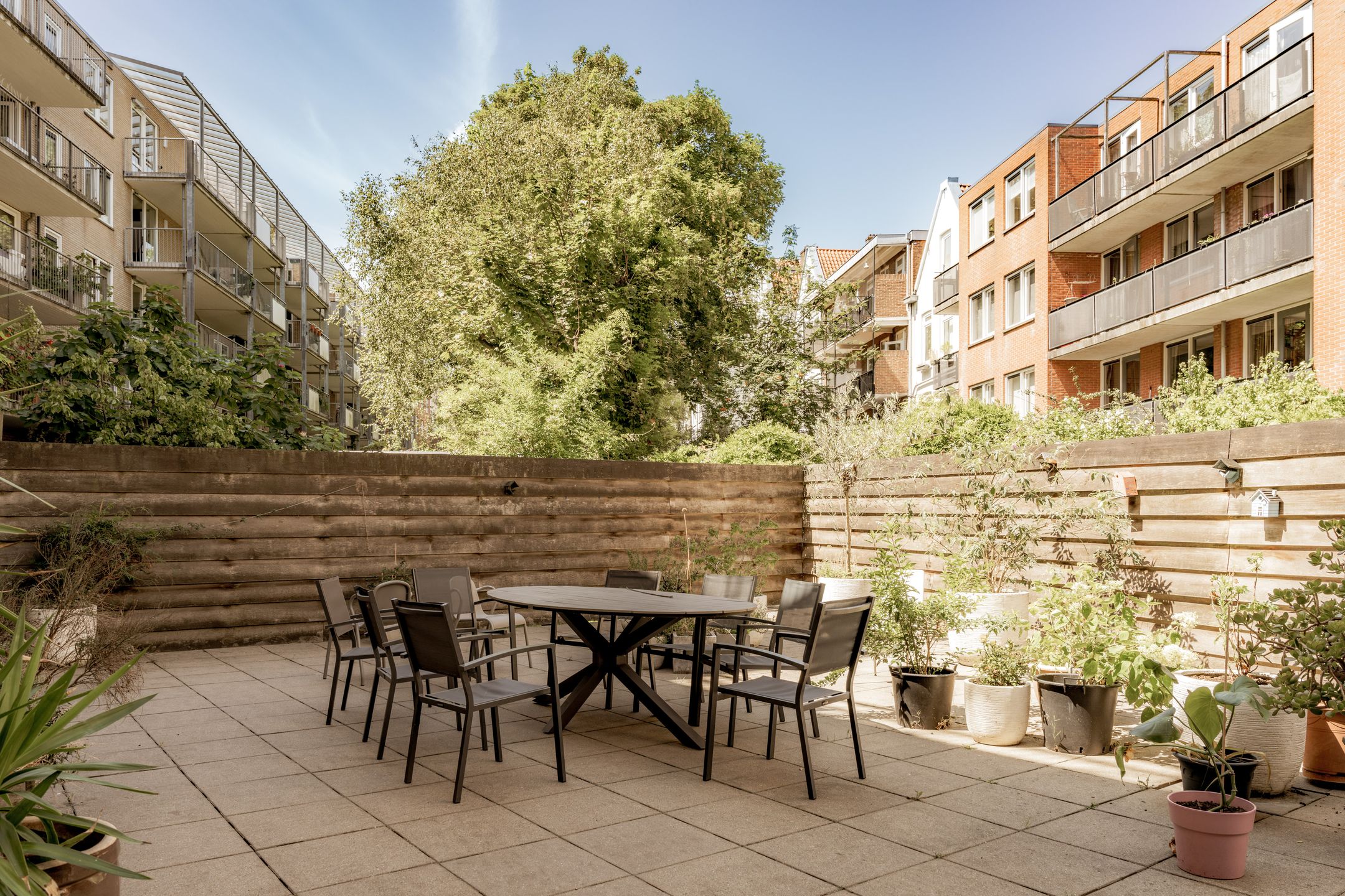 Foto 33 van Gerard Doustraat 147-E