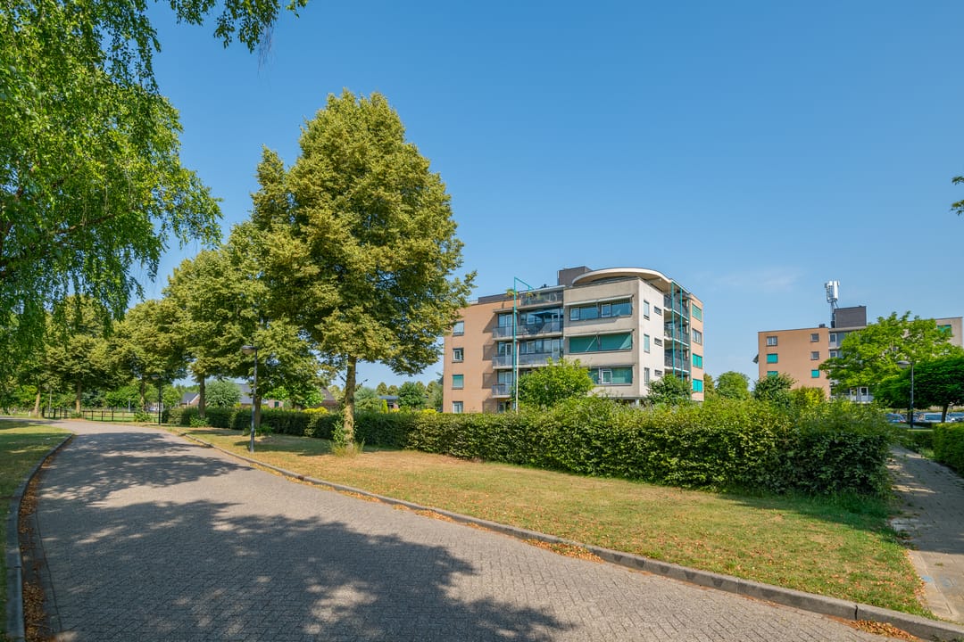 Foto 8 van Hof van Cambridge 159