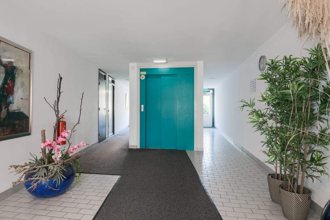 Foto 52 van Hof van Cambridge 159