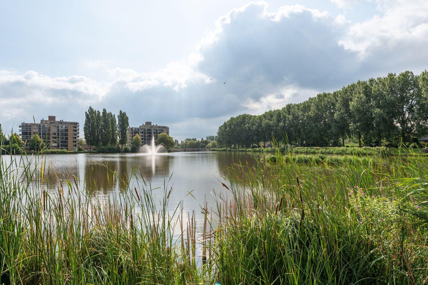 Foto 70 van Mohammed Roemhof 2