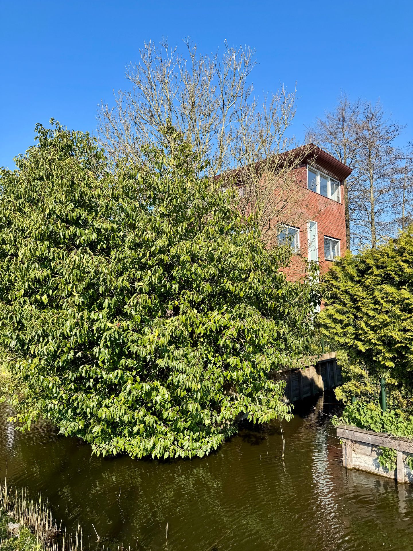 Foto 65 van Mohammed Roemhof 2