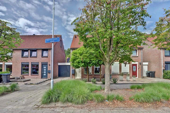 Foto 3 van Hammarskjöldstede 13