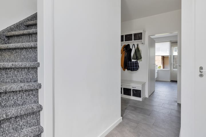 Foto 12 van Cygnus 11