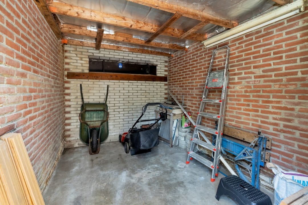 Foto 52 van Cygnus 11