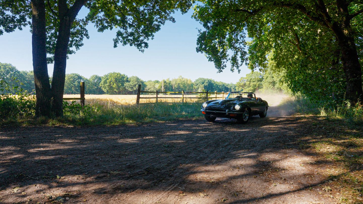 Pepereind 20 - Cromvoirt - Afbeelding 4