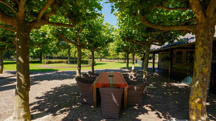 Photo 11 of Pepereind 20