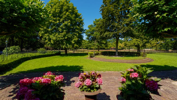 Photo 14 of Pepereind 20