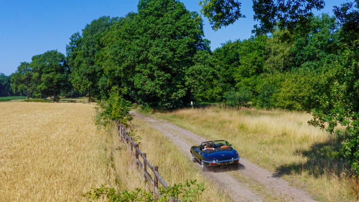 Photo 20 of Pepereind 20