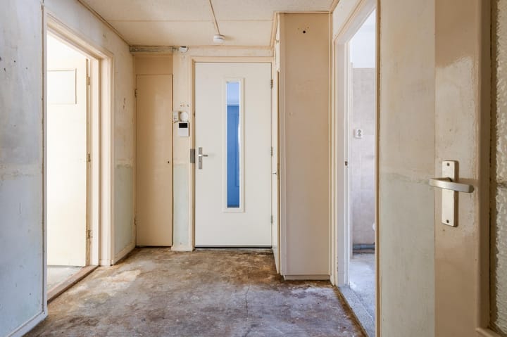 Foto 7 van Treublaan 13-1