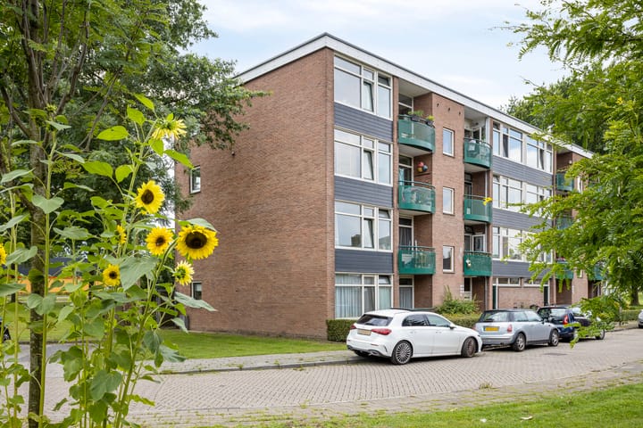 Foto 19 van Zoomkade 22