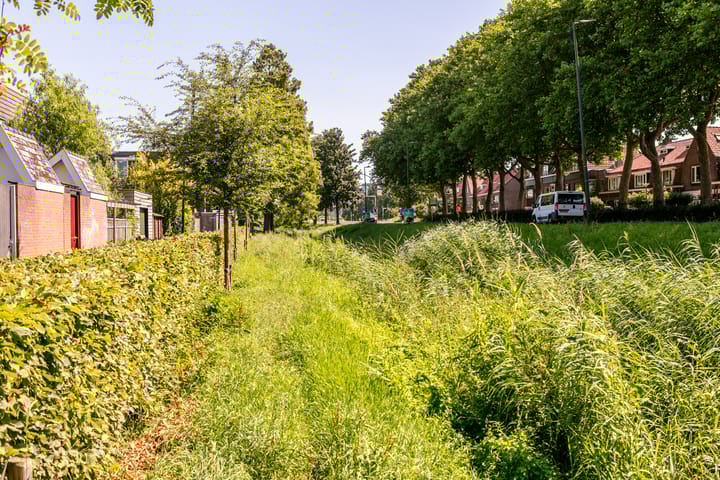 Foto 42 van Jan van Galenstraat 19