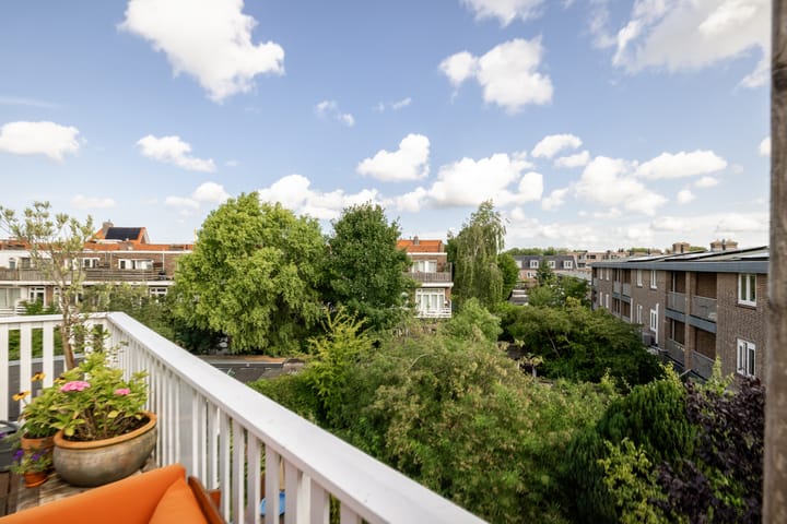 Foto 4 van Van Zeggelenplein 68