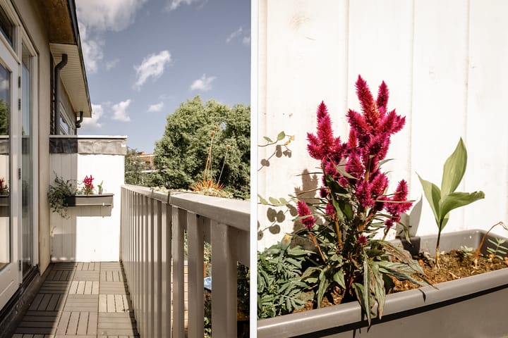 Foto 14 van Van Zeggelenplein 68