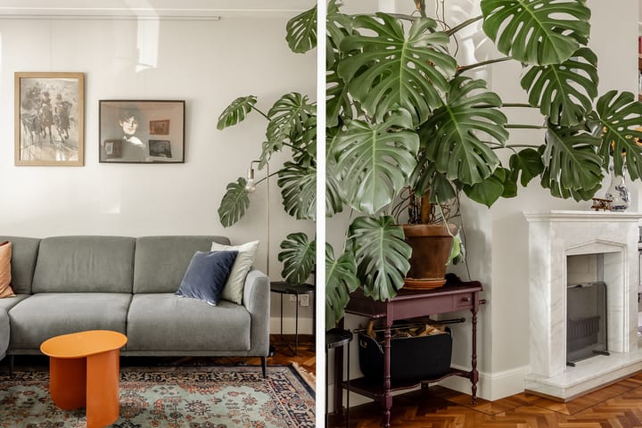 Foto 23 van Van Zeggelenplein 68