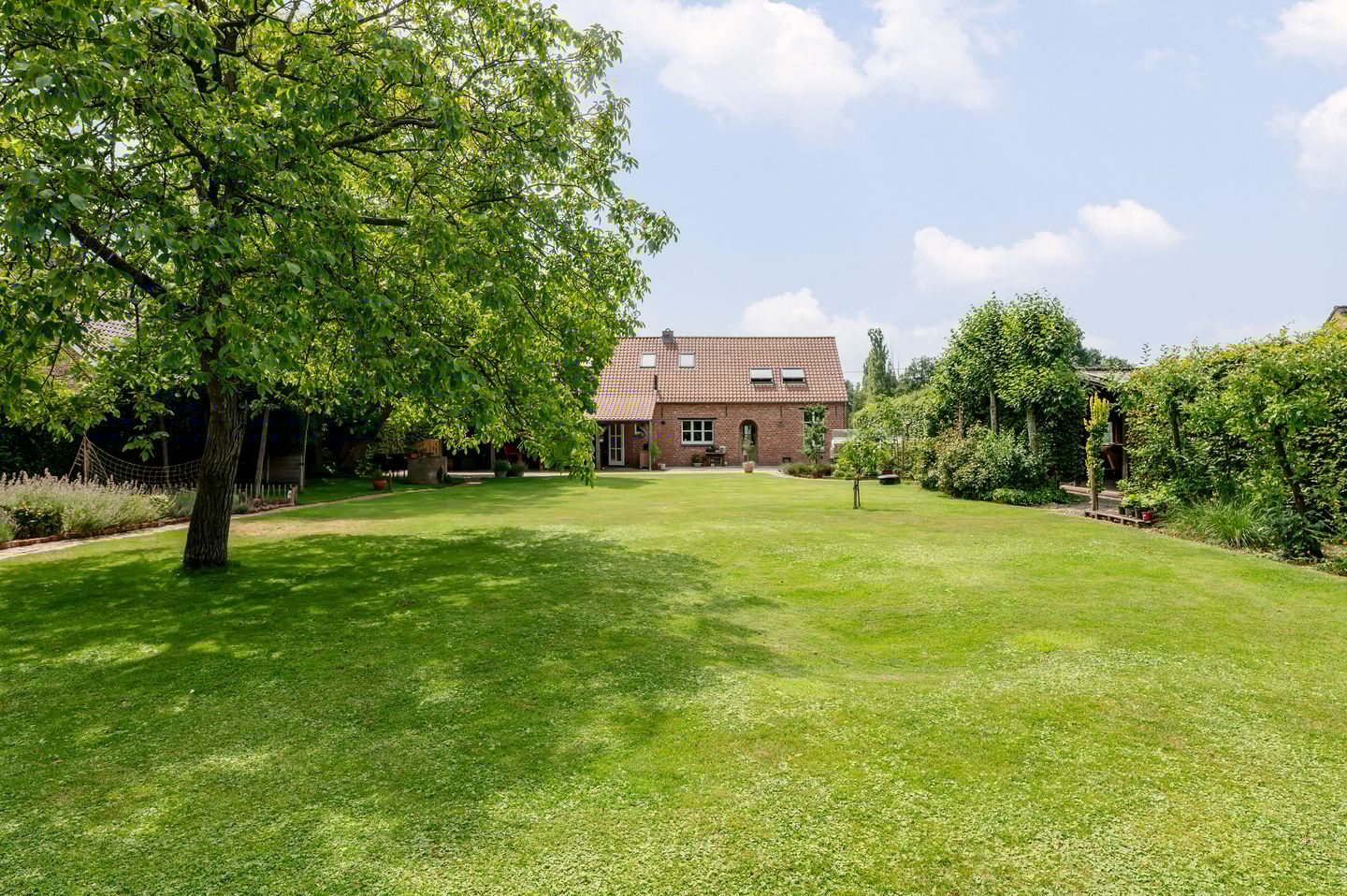 Foto 50 van Lage Rooy 29