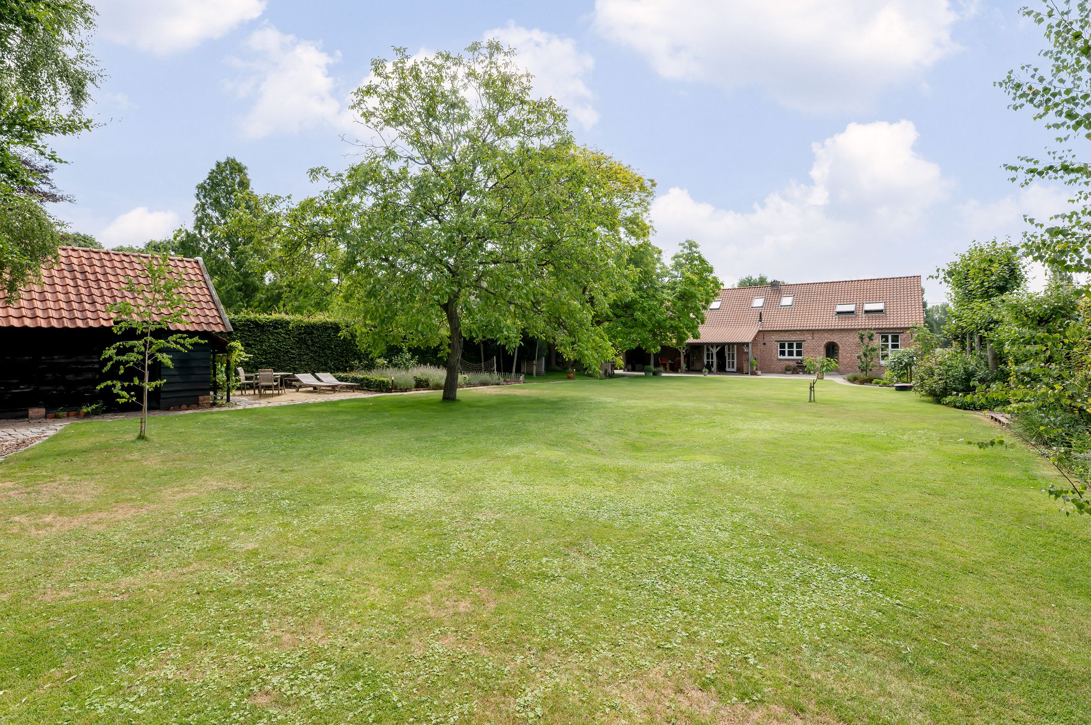 Foto 51 van Lage Rooy 29