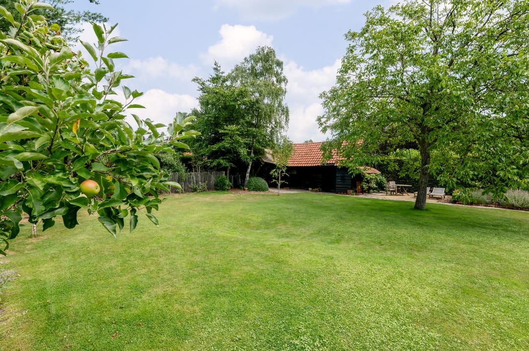 Foto 52 van Lage Rooy 29