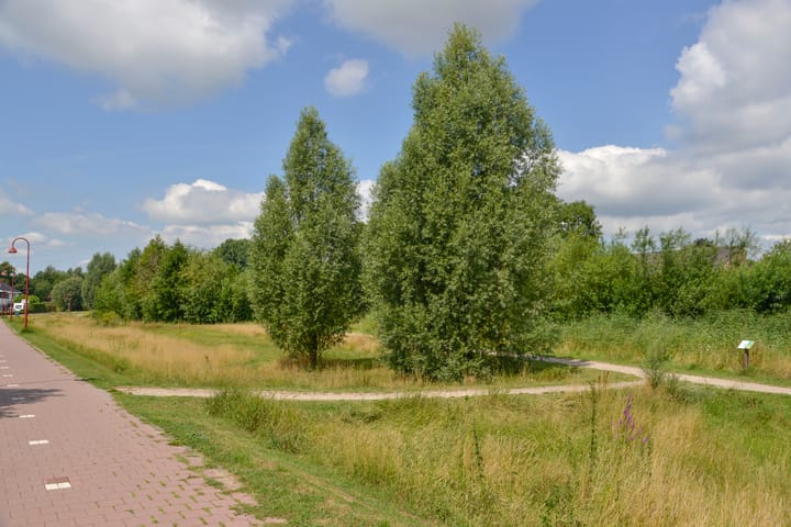 Foto 17 van Haruku 34