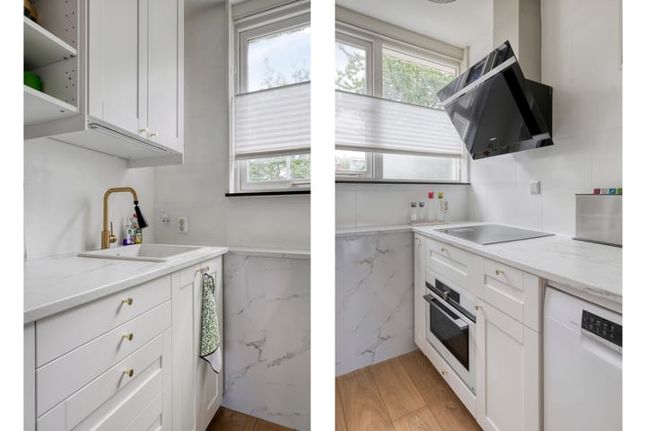 Foto 8 van Zaagvisplantsoen 40