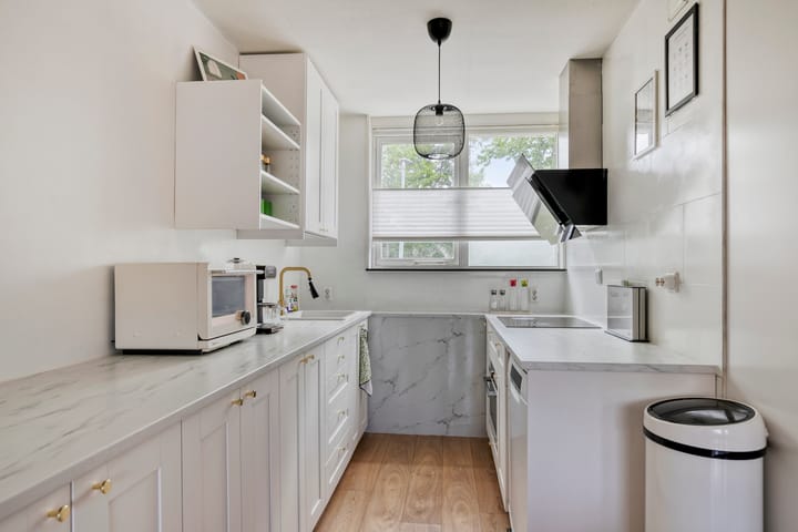 Foto 7 van Zaagvisplantsoen 40