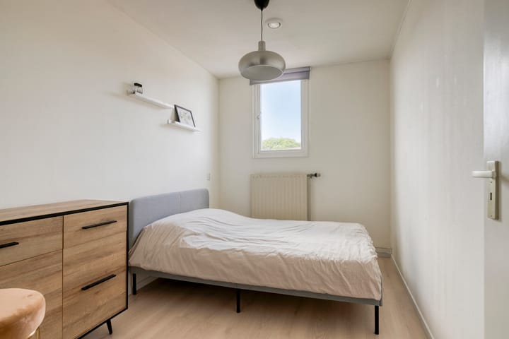 Foto 16 van Zaagvisplantsoen 40