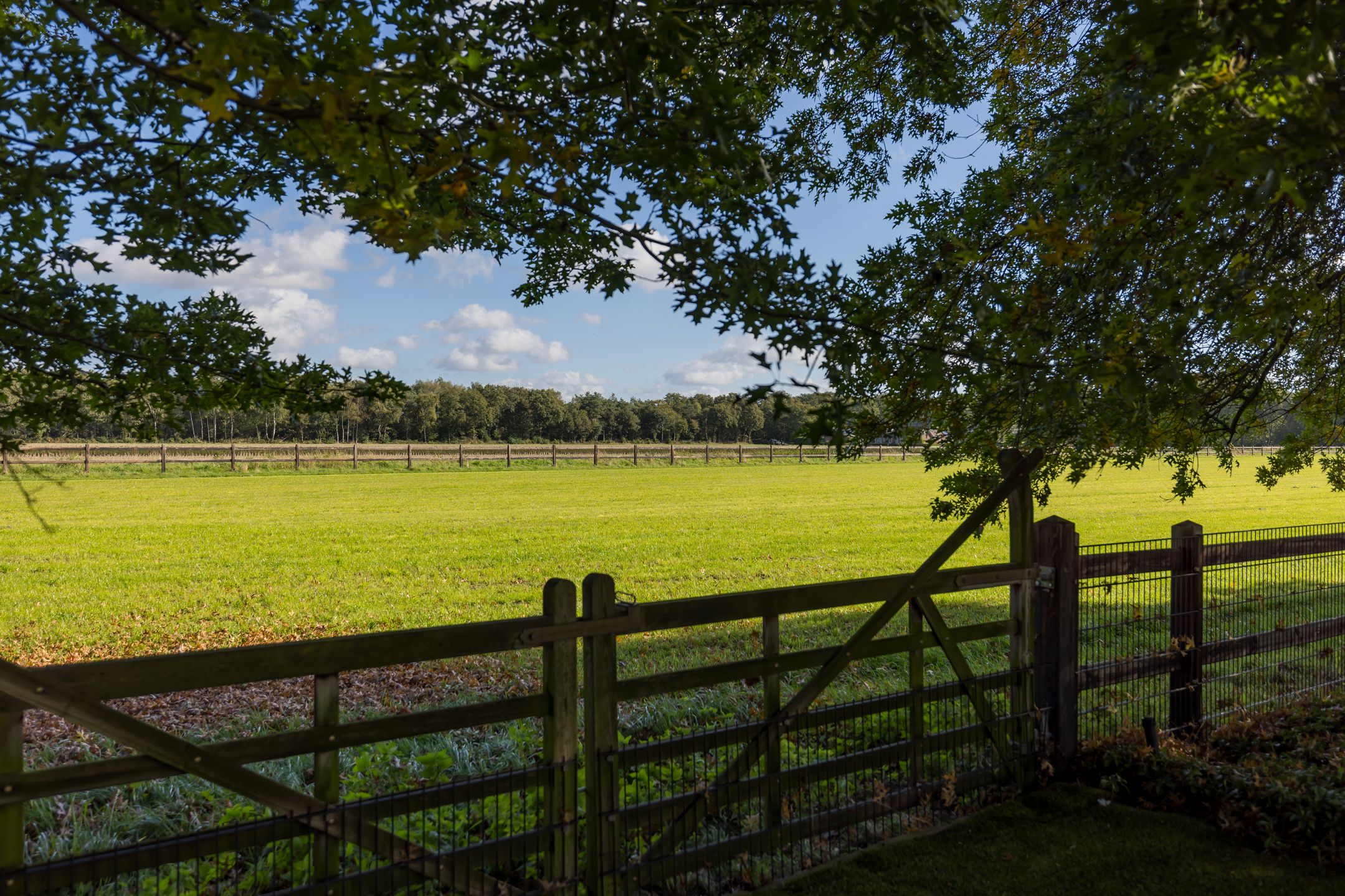 Foto 72 van Boterhurken 12