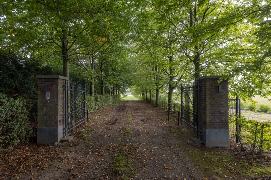 Foto 73 van Boterhurken 12