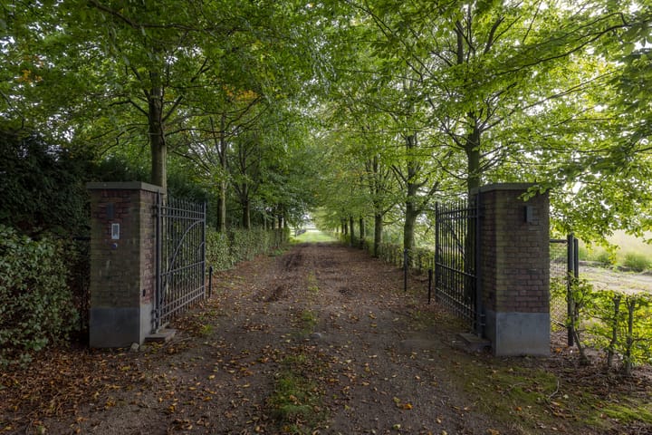 Foto 73 van Boterhurken 12