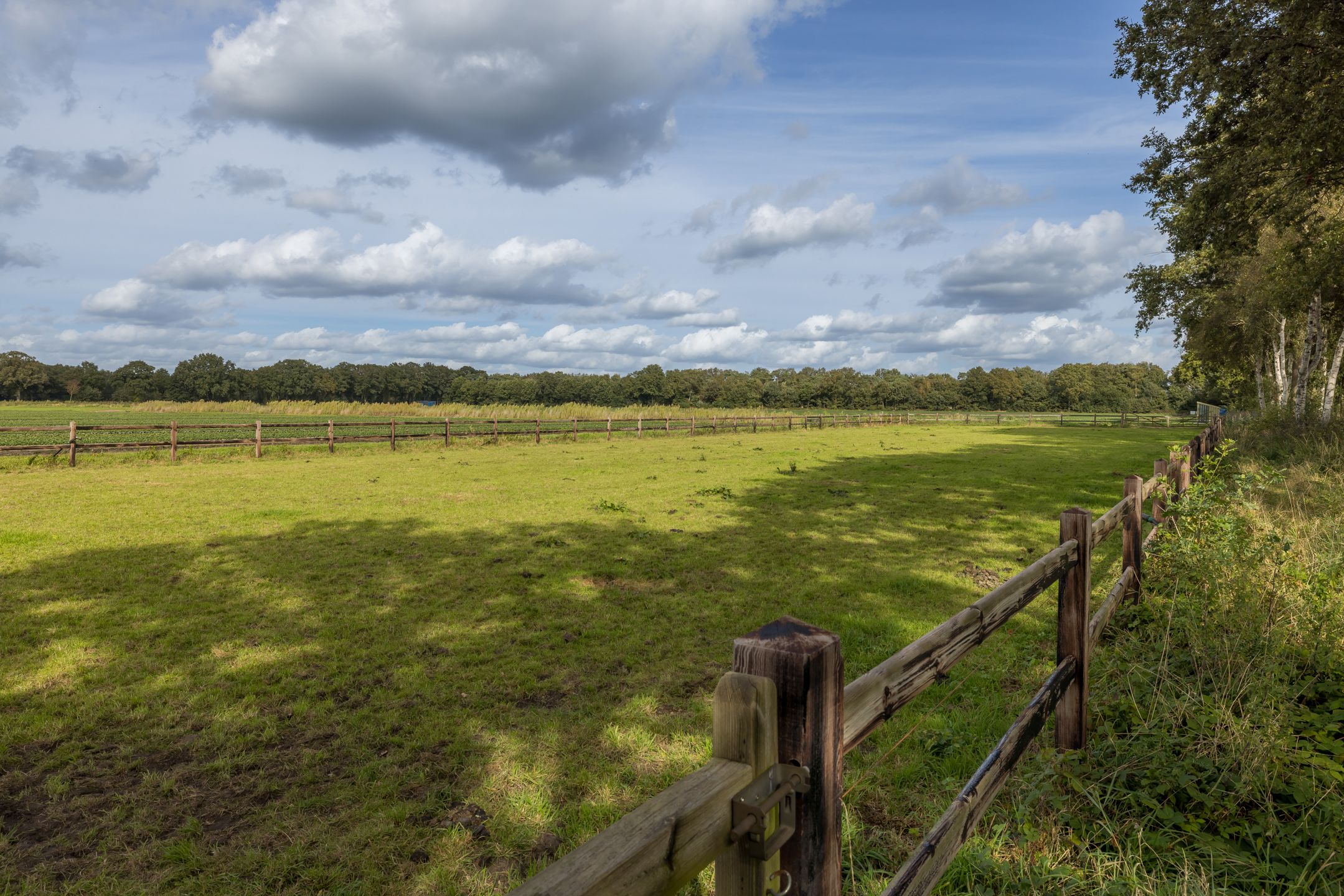 Foto 78 van Boterhurken 12