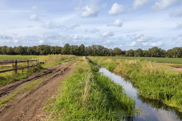 Foto 80 van Boterhurken 12