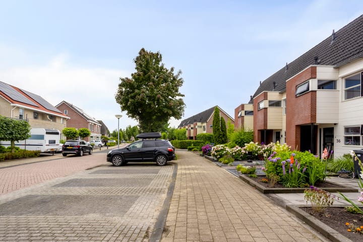 Foto 5 van Warmelo 36